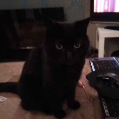 (っ◔◡◔)っ 𝑀𝒶rymo Belfast 🌱🍀 Ⓥ🇵🇸