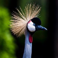 La vérité si je mens!