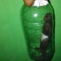 Alex Sanderya | ETHGas ⛽