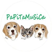 PaPiTaMuSiCaの南米音楽旅行！ネットで全国から聴けるコマラジ FM狛江