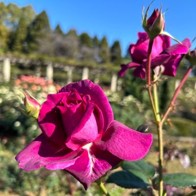 オールドメディアの偏向報道を許さない