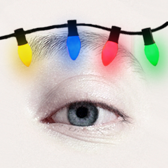 ᕳ Krysalia ᕲ ✂️💾🔴