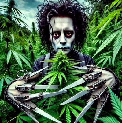 medicalmarijuanaflorida