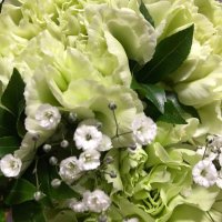 Greenleaf 💙❤️💚💛💜📣🌈✨📻