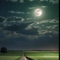 🇶🇦🇴🇲🇧🇭🇦🇪🇸🇦🇰🇼