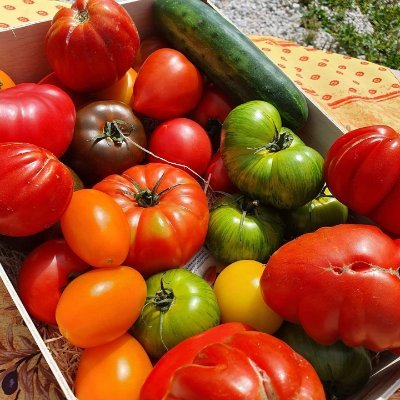 7 à la maison (Serval Music)