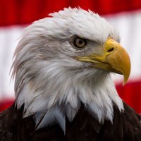 AdAdversaUltraAdversa