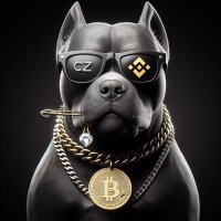 | Arichain - aveotr DDAI π²