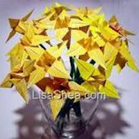 منال الغامدي