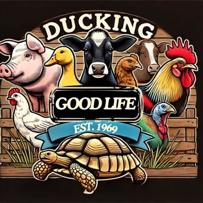 Ducking Good Life