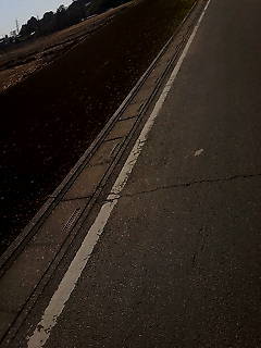 所謂プレッパー、無敵の人、スーパーホワイト