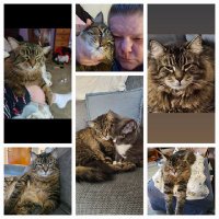 🐑🦋Kymm Ann🐑🦋