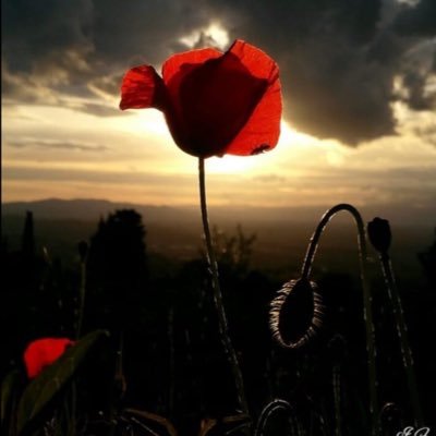 _Anto #antifascista🌈