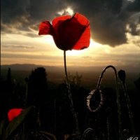 _Anto #antifascista🌈