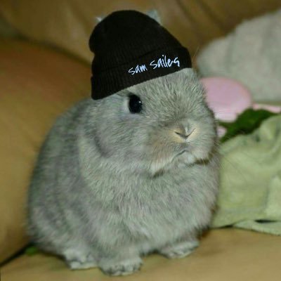 Bisexual Gamer Looking For Love, Pls look female