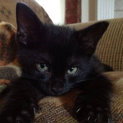 Nati Renault 🧙🏻‍♀️🥂