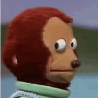 🦫 🏴‍☠️ groundhog Day