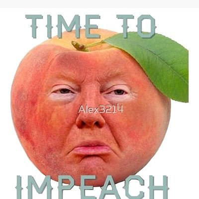 Impeach Trump a 3rd Time!