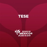 Tecnológico de Estudios Superiores de Ecatepec