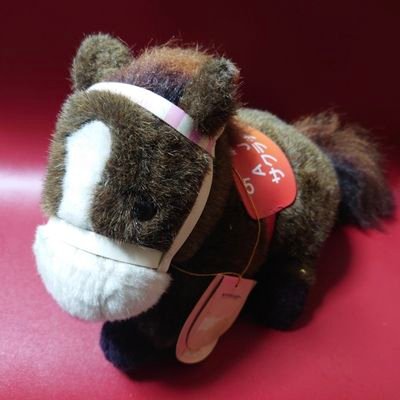 チトセオー【競馬部】🏇