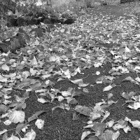 Dragonmist @ thelastcave