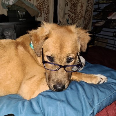 Sunny Spirit ❤ 🌻