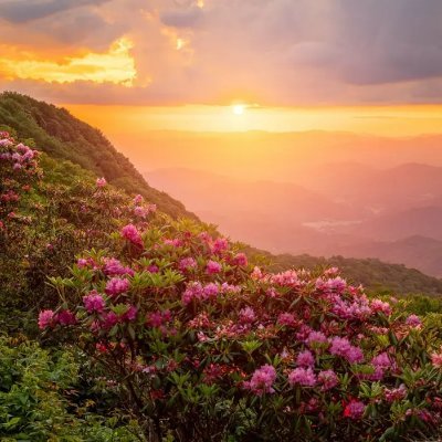 sophia loves nature.