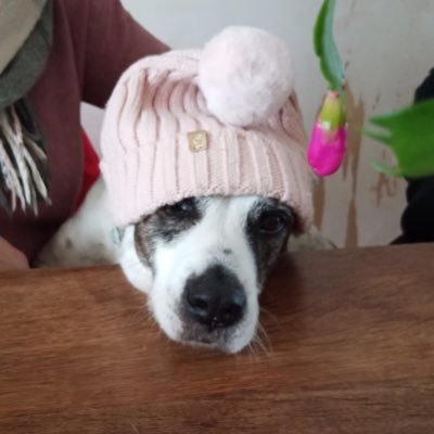 Vali 🔻🕊🌈🐢