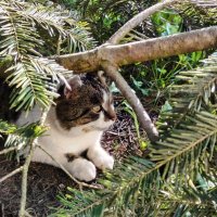 Ala #ZawszeZaPolską