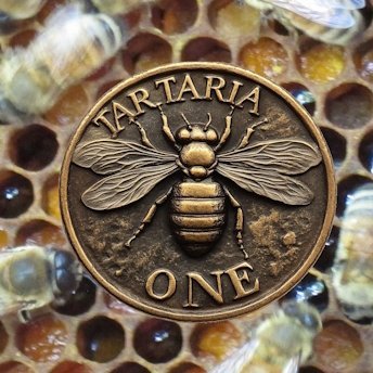 Æi 11 R\in/A TR-3B🐝