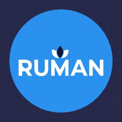 RUMAN ELECTRONICS