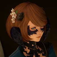 モクレン属のゆう