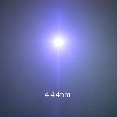 CoyoteSanctuary🐺🐭🦝🔬 🐾🏴‍☠️