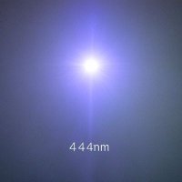 CoyoteSanctuary🐺🐭🦝🔬 🐾🏴‍☠️