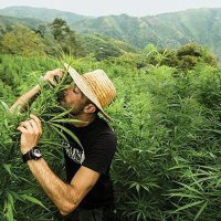 ProfessionalHodler.ZIL