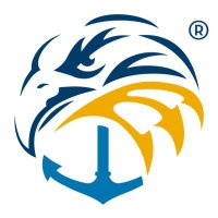 Navy SEAL Foundation