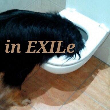 Exil de Nous SommesTous Israël🗽♂🚻🕊(told/you/so)