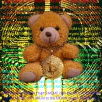 BRUM to the MOON 🐻🚀🌕 Crypto Meme Coin