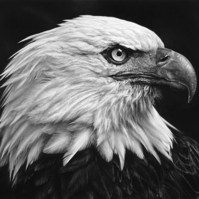 Romeo Mike 😊✝️🪂 🇺🇸⚜️♛ 🇺🇸 America 🇺🇸