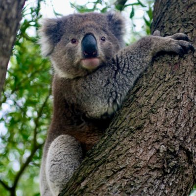 ๐ง๐ฆ ๐ท๐๐๐๐๐๐๐ ๐๐310ppm Terry