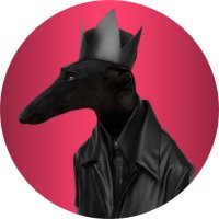 𝐆𝐚𝐥𝐠𝐨•𝚙𝚞𝚛𝚘✨️