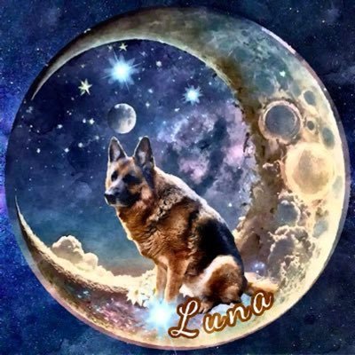 𝓩𝓲𝓹🐾𝓩𝓸ë🐾𝓜𝓸𝓶👩🏻‍🌾~✨🕯𝓛𝓾𝓷𝓪🐾✨~