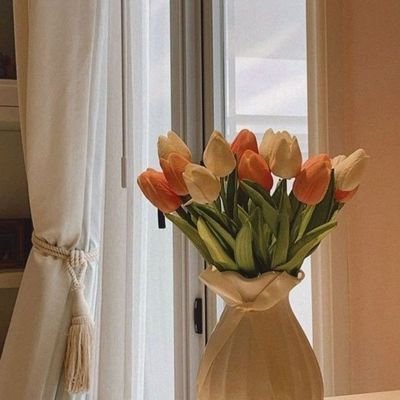 Aracele Lima 🇧🇷