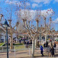 Spanish Horse Racing Club