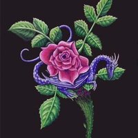 Rosedragon