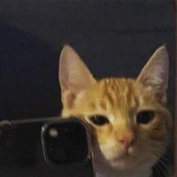 jeska ᶠᶠᶜ (Taylor's Version)