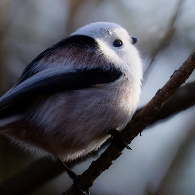 あきそら@幕張Day2横浜Day1