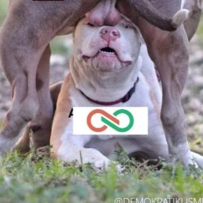 Mikediver (Anti-tiSSa)