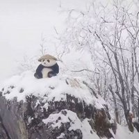 °♡ มอปอ : pryndar ♡°