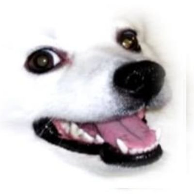 (⁠ ͡⁠°⁠ ͜⁠ʖ⁠ ͡⁠°⁠)